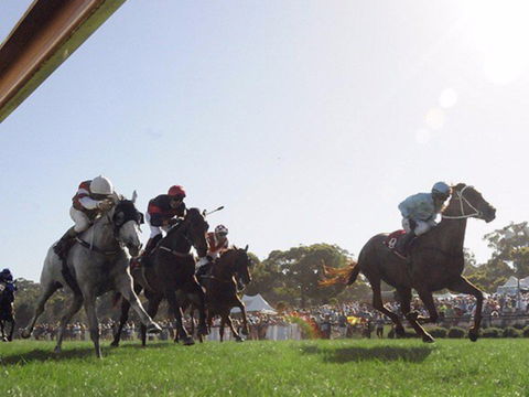 Moruya Racecourse - Darwin Holiday 1