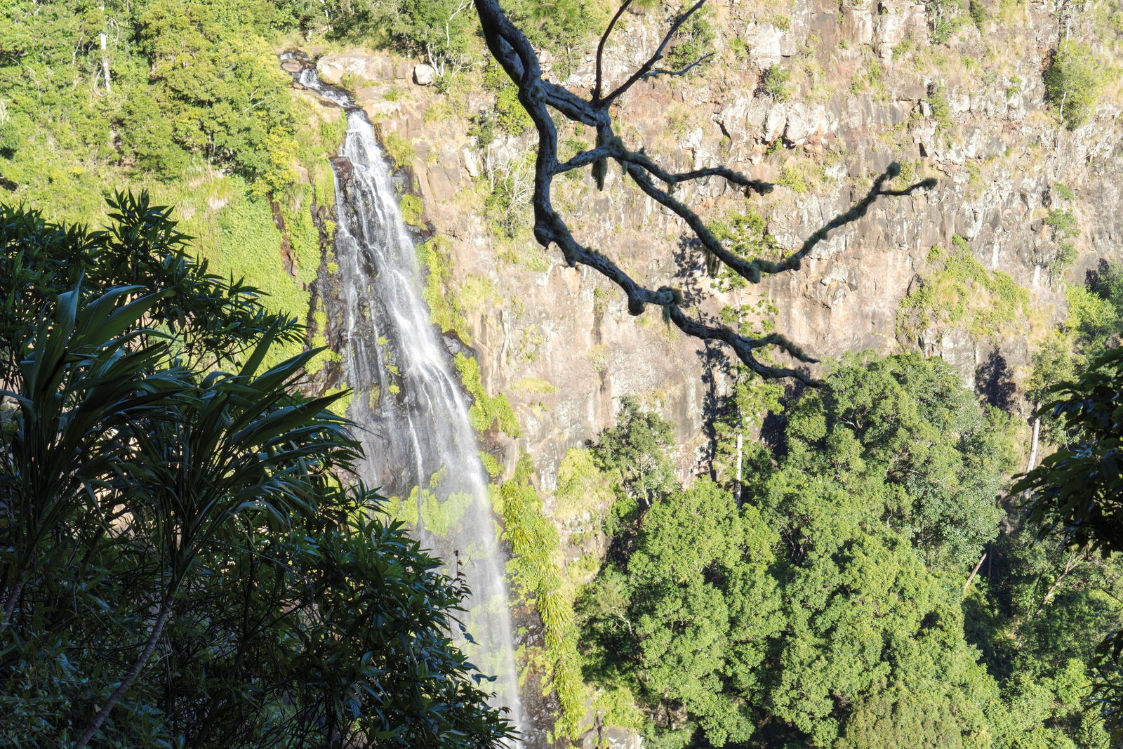 Gold Coast Hinterland QLD Darwin Holiday