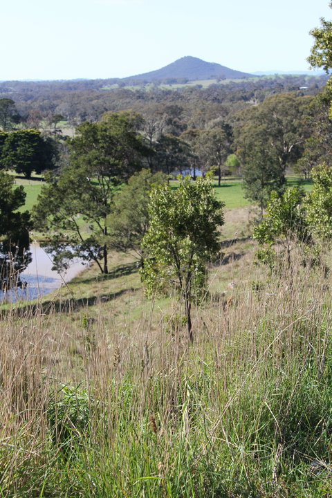 Mt Piper Nature Conservation Reserve - Darwin Holiday 1