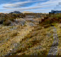 Murramarang Aboriginal Area Walking Track
