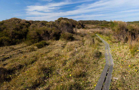 Murramarang Aboriginal Area Walking Track - Darwin Holiday 0