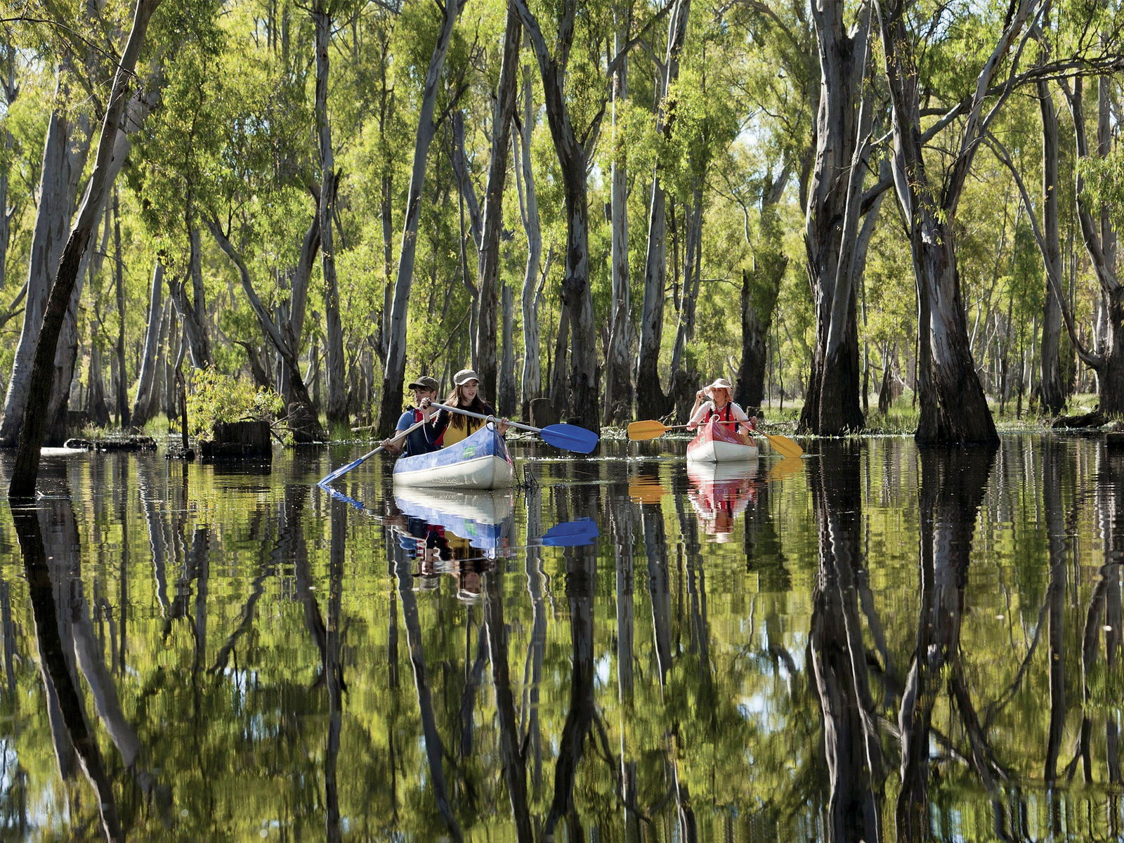 Hartwood NSW Darwin Holiday