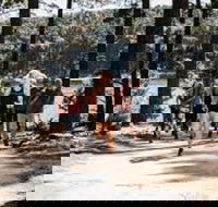 Myponga Reservoir Trail - Darwin Holiday