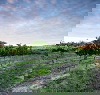 Nature and Foodies Trail - Darwin Holiday