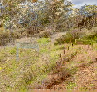 Old Mountain Road Walking Track - Darwin Holiday