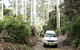 Orara Escarpment 4WD Touring Route - thumb 0