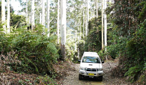 Orara Escarpment 4WD Touring Route - Darwin Holiday 0