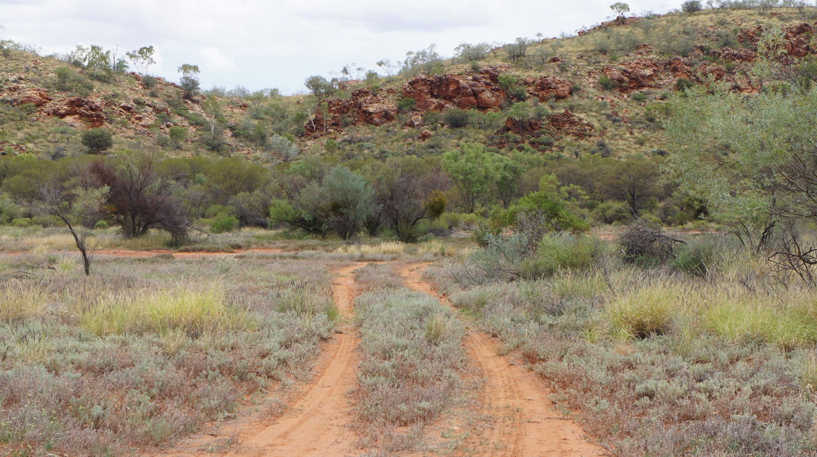 Mount Zeil NT Darwin Holiday
