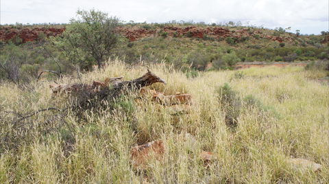 Original Glen Helen Homestead - Darwin Holiday 1
