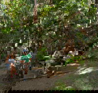 Palms picnic area - Darwin Holiday