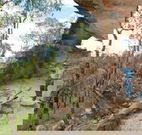 Pilliga National Park - Darwin Holiday