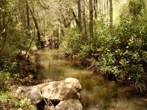 Sandy Creek Track - Darwin Holiday 0