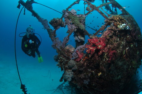 Severance Shipwreck Dive Site - Darwin Holiday 0