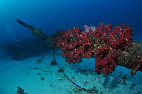 Severance Shipwreck Dive Site - Darwin Holiday 2
