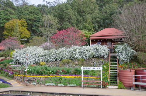 Spring Bluff Railway Station - Darwin Holiday 1