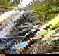 Steavenson Falls - Darwin Holiday