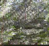 Tallaganda National Park - Darwin Holiday