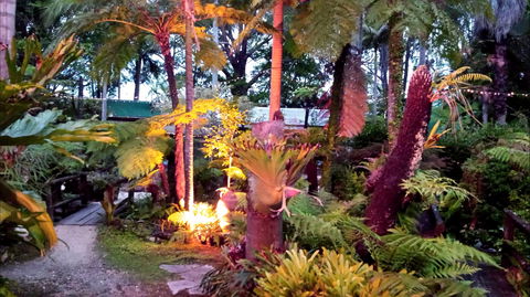 The Fernery At Diamond Waters - Darwin Holiday 0