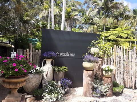 The Fernery At Diamond Waters - Darwin Holiday 1