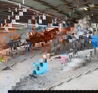 The Equine Club - Darwin Holiday