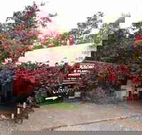 The Gallery Mt Macedon - Darwin Holiday