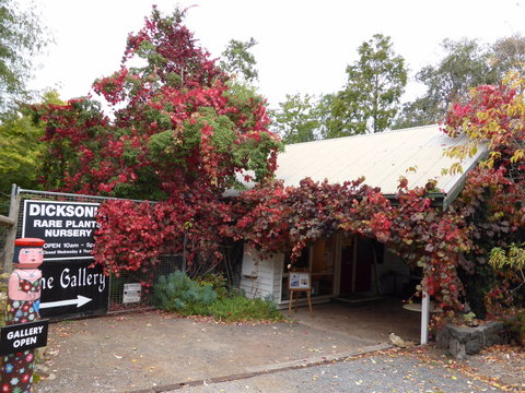 The Gallery Mt Macedon - Darwin Holiday 0