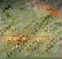 Time Walk Windjana Gorge National Park - Darwin Holiday