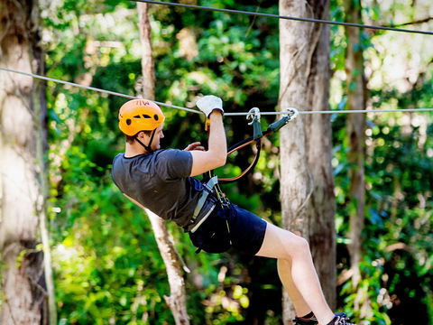 TreeTop Challenge Currumbin Wildlife Sanctuary - Darwin Holiday 0