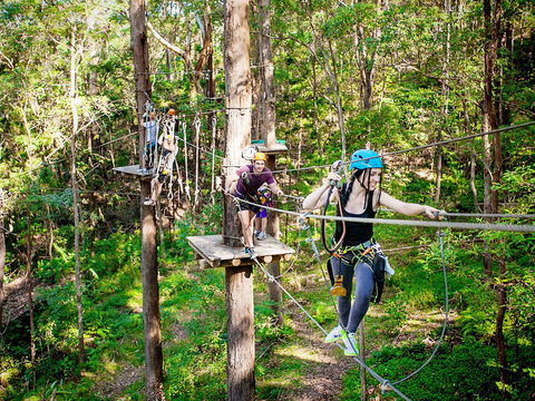 TreeTop Challenge Currumbin Wildlife Sanctuary - Darwin Holiday 1