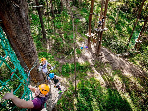 TreeTop Challenge Currumbin Wildlife Sanctuary - Darwin Holiday 2