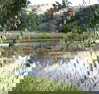 Tumut Wetlands - Darwin Holiday