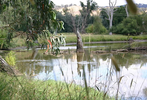 Tumut Wetlands - Darwin Holiday 0