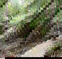 Upper Yarra Reservoir Park - Darwin Holiday