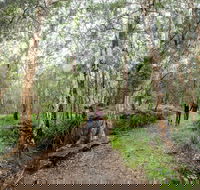 Venman Bushland National Park - Darwin Holiday