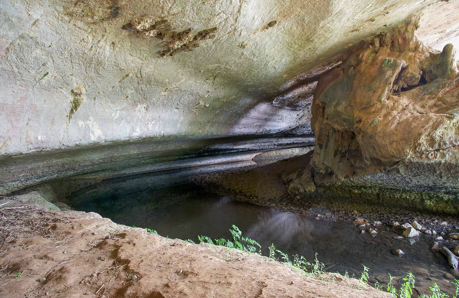 Belgravia NSW Darwin Holiday