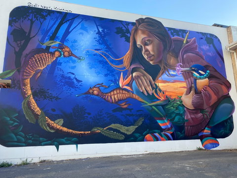 Walk The Walls Cronulla Street Art Trail - Darwin Holiday 0