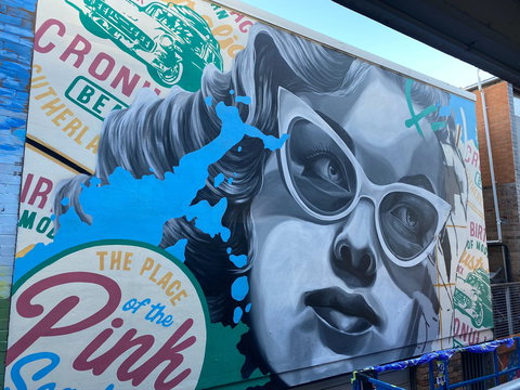 Walk The Walls Cronulla Street Art Trail - Darwin Holiday 2