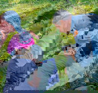 Warrumbungle National Park Discovery Program - Darwin Holiday