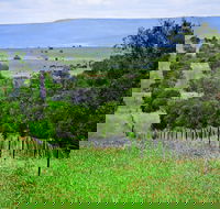 Wild Dog Barrier Fence - Darwin Holiday