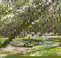 Wollomombi Gorge and Falls Picnic Area - Darwin Holiday