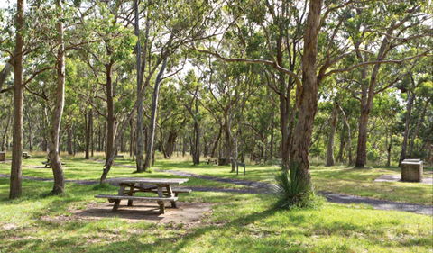 Wollomombi Gorge And Falls Picnic Area - Darwin Holiday 0
