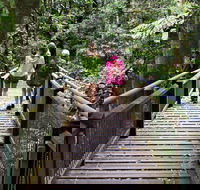 Wonga Walk - Darwin Holiday