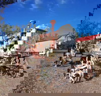 Wowan - Darwin Holiday