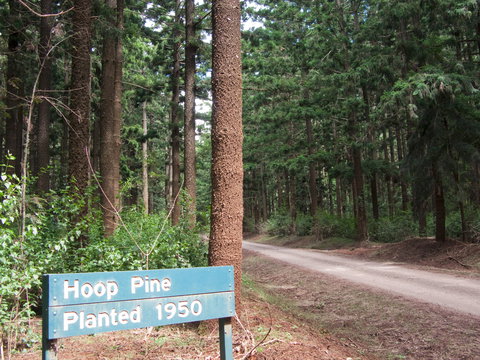 Yarraman - Darwin Holiday 1