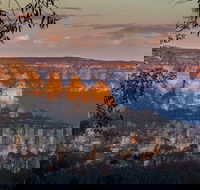 Private Blue Mountains Tour with Kangaroo and Koala Experience - Darwin Holiday