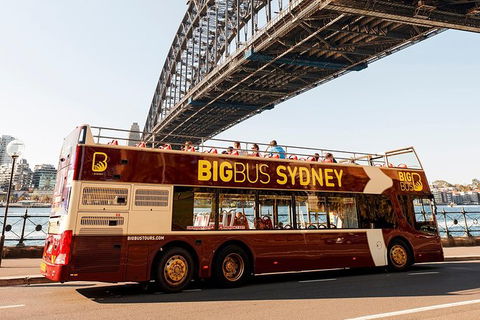 Hop-On Hop-Off Bus And Cruise PLUS Attractions - Darwin Holiday 5