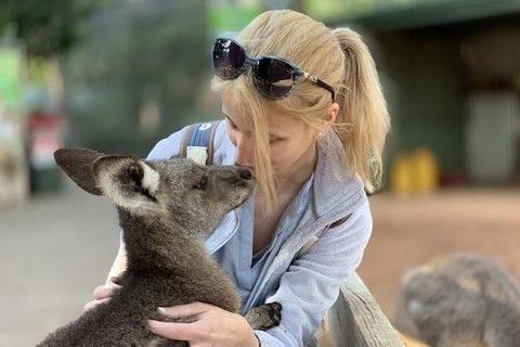 Blue Mountains Supreme Day Tour - Darwin Holiday 6