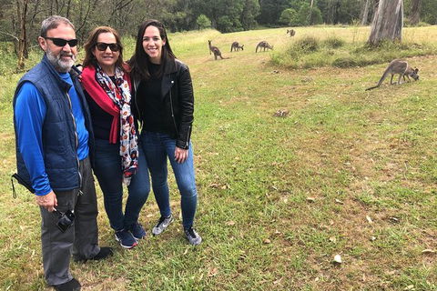 Blue Mountains Number 1 Day Tour Includes Popular Breakfast In The Aussie Bush - Darwin Holiday 14