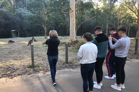 Blue Mountains Number 1 Day Tour Includes Popular Breakfast In The Aussie Bush - Darwin Holiday 10