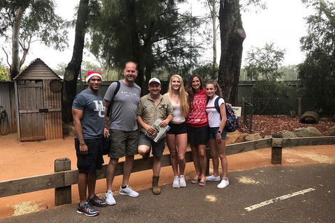 Blue Mountains Number 1 Day Tour Includes Popular Breakfast In The Aussie Bush - Darwin Holiday 9